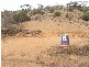 64 Tom Groggin Drive Younghusband via, Cowirra SA 5238