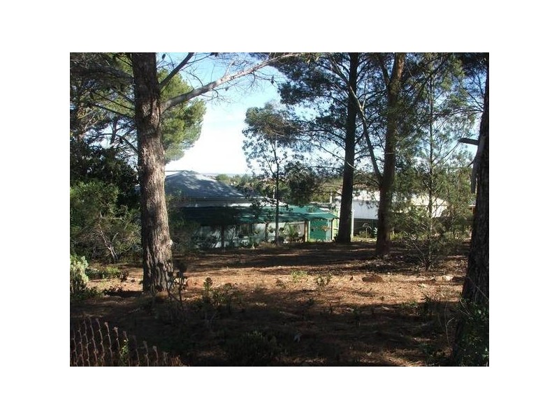 3 Asmus Street, Mannum SA 5238