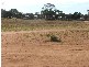 Allot 9 Ramm Road, Mannum SA 5238