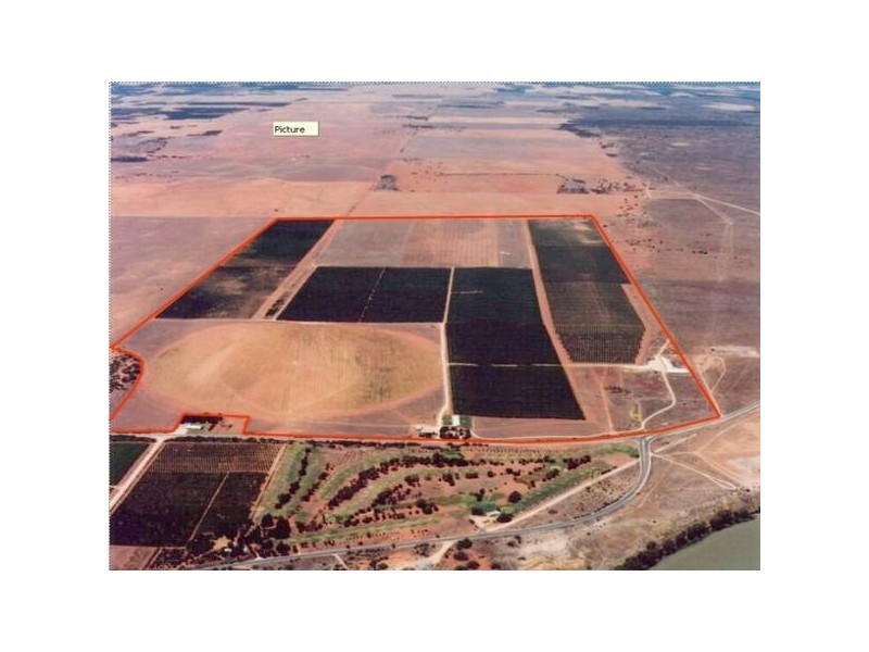 Lot 1 Bypass Road, Swan Reach SA 5354