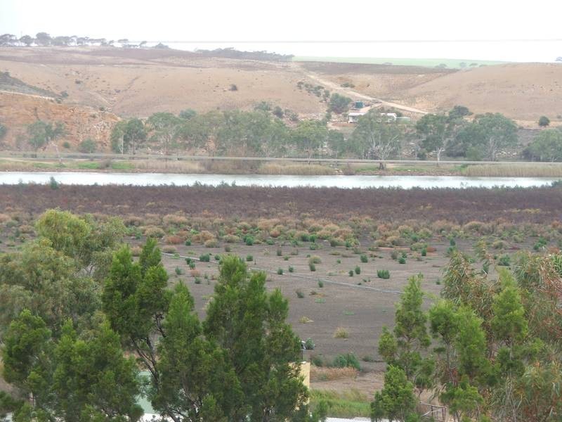 Allot 2 Purnong Road, Mannum SA 5238