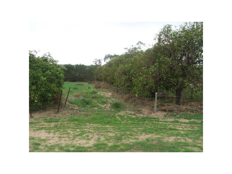 283 & 284 Devon Downs via, Swan Reach SA 5354