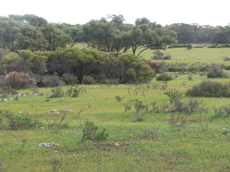 Section 21 Goondooloo Road, Bowhill SA 5238