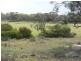 Section 21 Goondooloo Road, Bowhill SA 5238