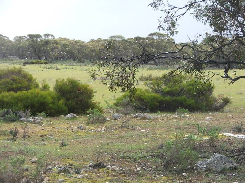 Section 21 Goondooloo Road, Bowhill SA 5238