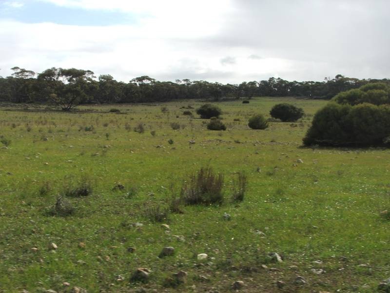 Section 21 Goondooloo Road, Bowhill SA 5238