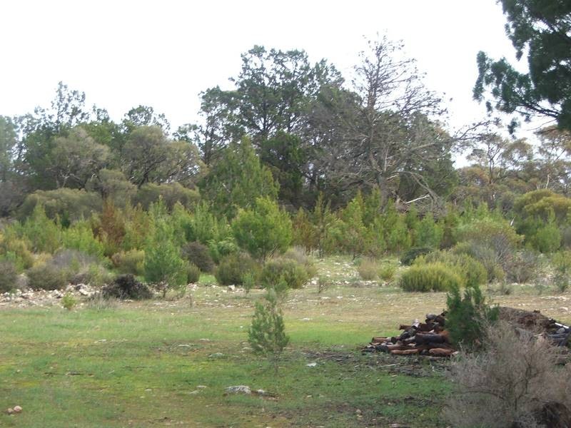 Section 21 Goondooloo Road, Bowhill SA 5238