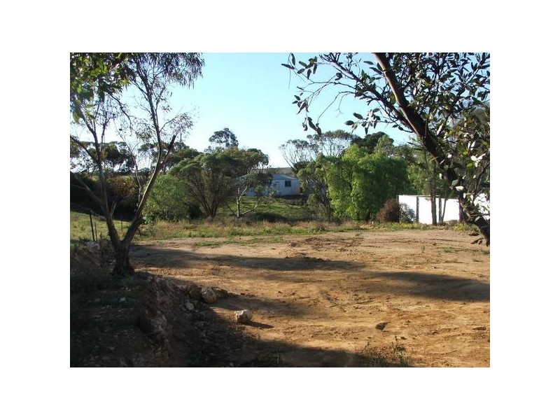 7 Murray Cres, Mannum SA 5238