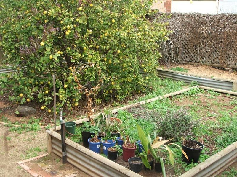 17 Rudolf Street, Mannum SA 5238