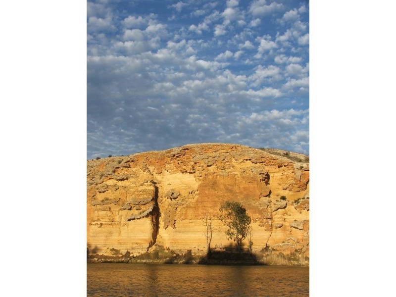 67 Rob Loxton Road, Walker Flat SA 5238