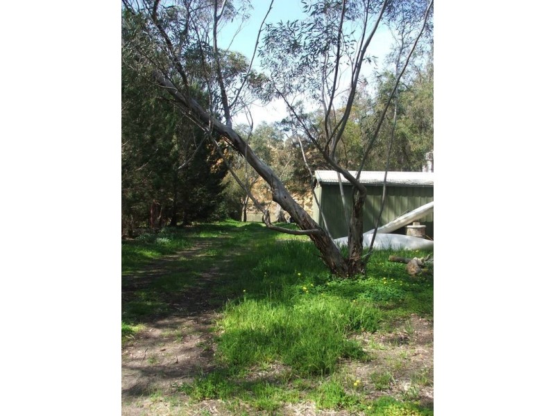 67 Rob Loxton Road, Walker Flat SA 5238