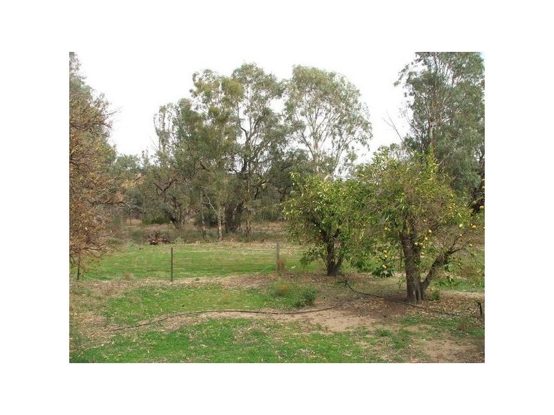 Sect 284 Christian Road, Devon Downs via, Swan Reach SA 5354