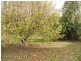 Sect 284 Christian Road, Devon Downs via, Swan Reach SA 5354