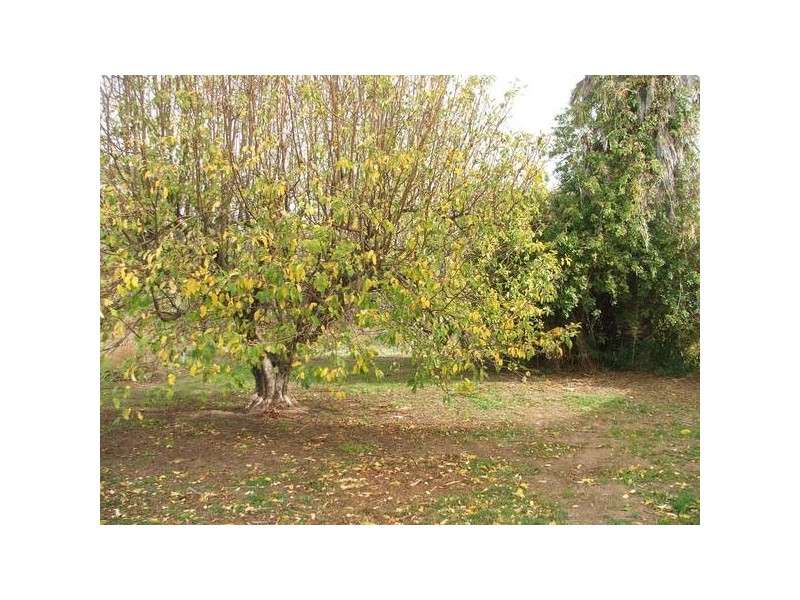 Sect 284 Christian Road, Devon Downs via, Swan Reach SA 5354