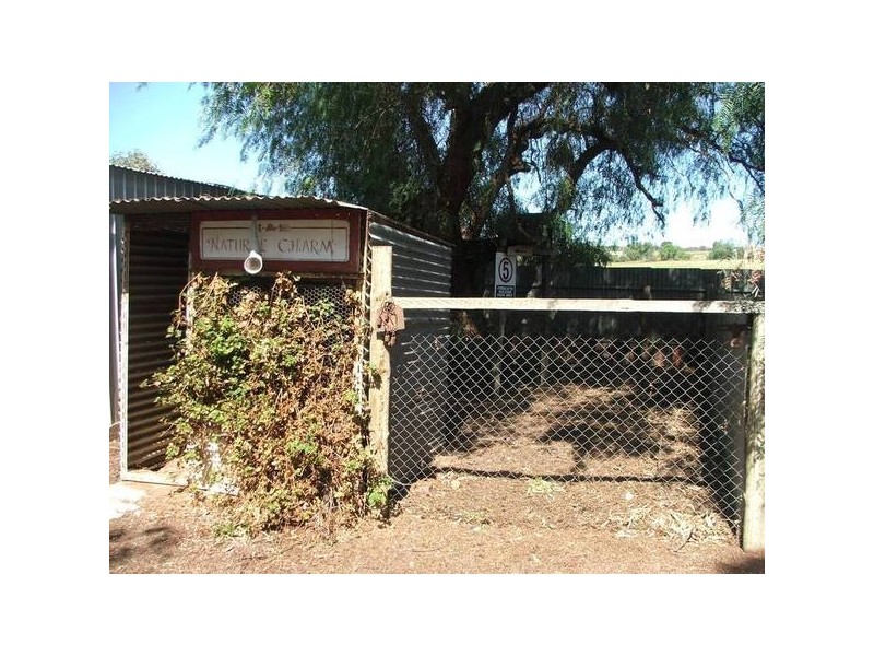 Allotment 14 & 15 Murray Street, Caloote SA 5254