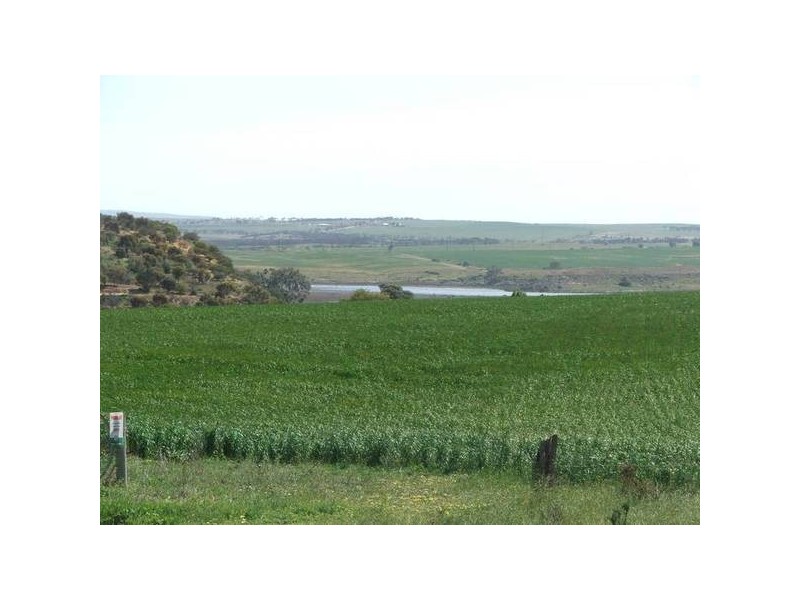 Allotment 14 & 15 Murray Street, Caloote SA 5254