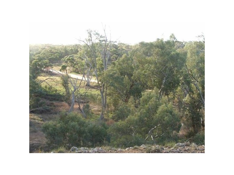 Section 330 Marne Road, Black Hill SA 5353