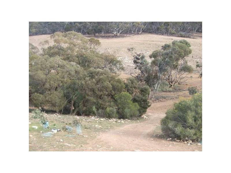 Section 330 Marne Road, Black Hill SA 5353