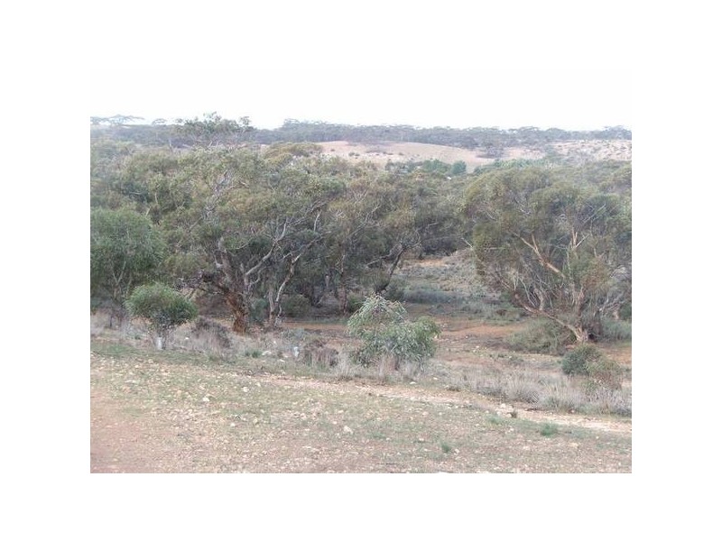 Section 330 Marne Road, Black Hill SA 5353