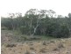 Section 330 Marne Road, Black Hill SA 5353