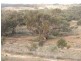 Section 330 Marne Road, Black Hill SA 5353