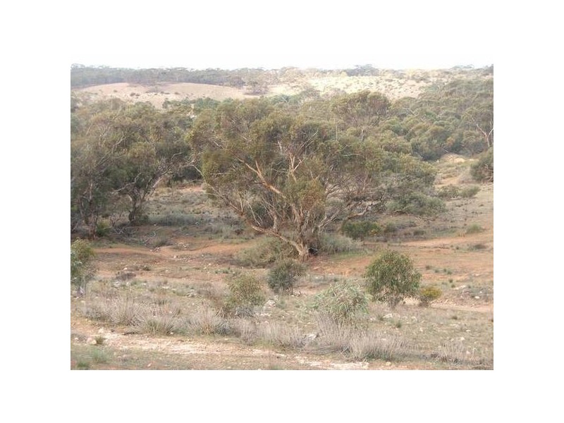 Section 330 Marne Road, Black Hill SA 5353