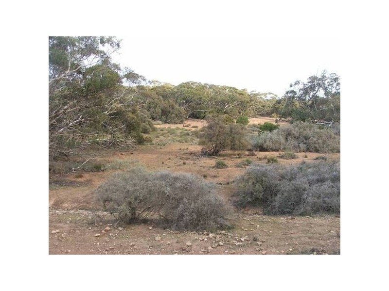 Section 330 Marne Road, Black Hill SA 5353