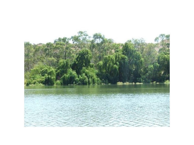 26 Sprinkler Drive, Walker Flat via, Mannum SA 5238