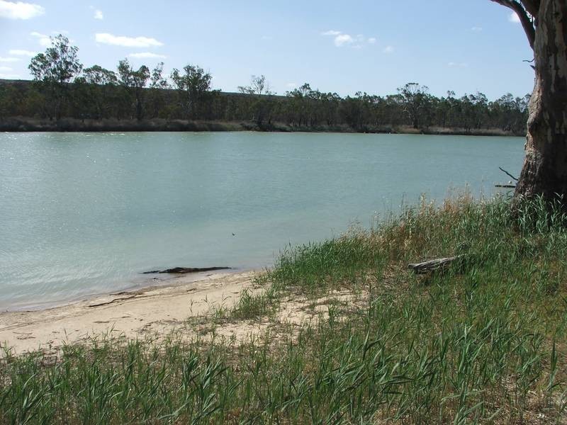 79 Marks Landing, Swan Reach SA 5354