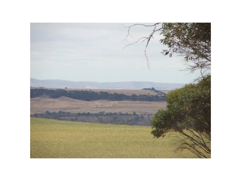 Sect 23s Bowhill Road, Mannum SA 5238