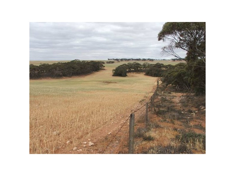 Sect 23s Bowhill Road, Mannum SA 5238