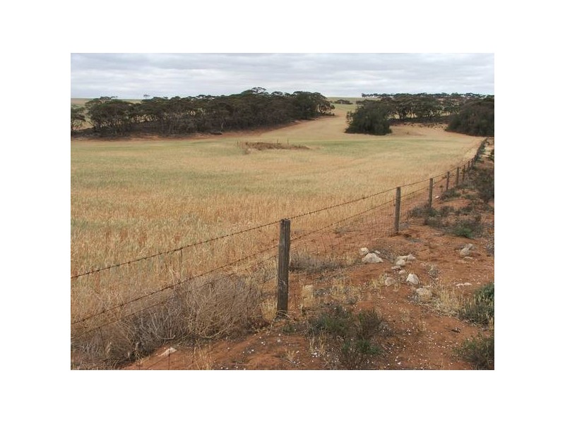 Sect 23s Bowhill Road, Mannum SA 5238