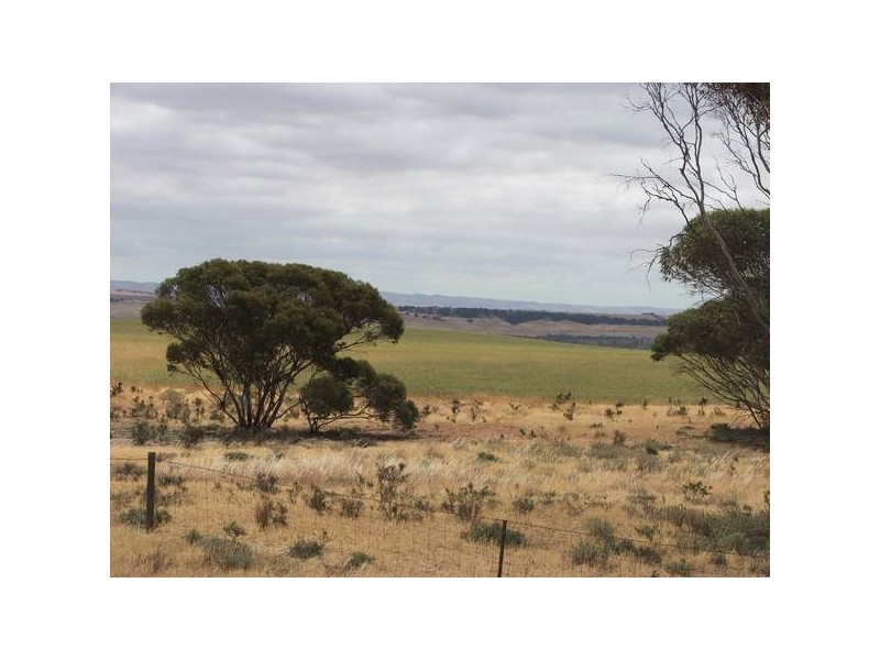 Sect 23s Bowhill Road, Mannum SA 5238