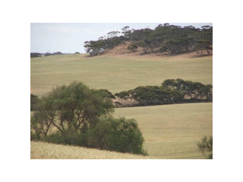 Sect 23s Bowhill Road, Mannum SA 5238