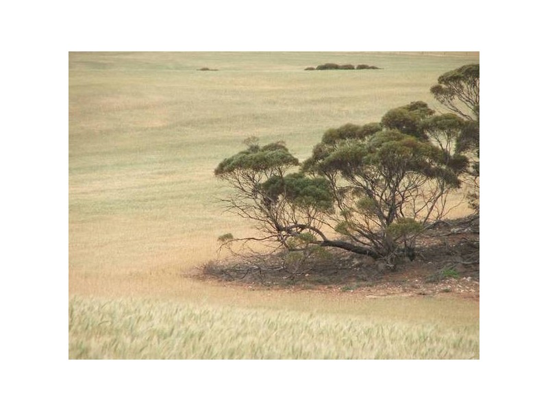 Sect 23s Bowhill Road, Mannum SA 5238