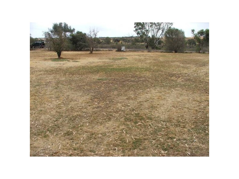 Lot 501 Rob Loxton Road, Walker Flat SA 5238
