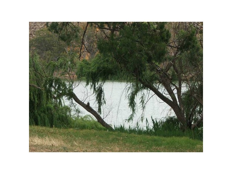 Lot 501 Rob Loxton Road, Walker Flat SA 5238