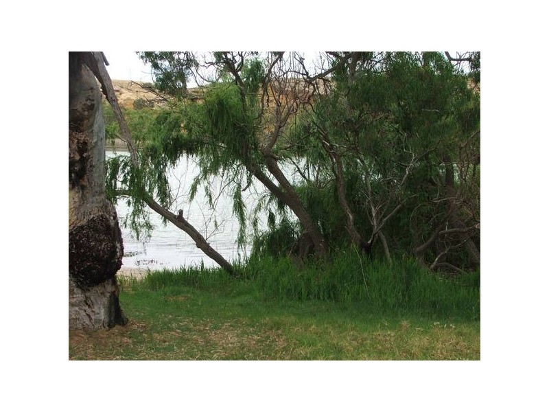 Lot 501 Rob Loxton Road, Walker Flat SA 5238
