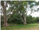Lot 501 Rob Loxton Road, Walker Flat SA 5238