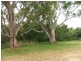 Lot 501 Rob Loxton Road, Walker Flat SA 5238