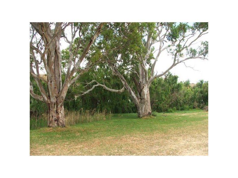 Lot 501 Rob Loxton Road, Walker Flat SA 5238