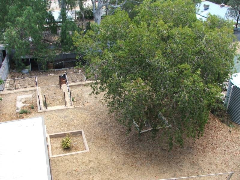 lot 243 Anzac Avenue, Swan Reach SA 5354