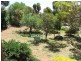 Lot 2 Murray Street, Caloote SA 5254