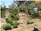 Lot 2 Murray Street, Caloote SA 5254