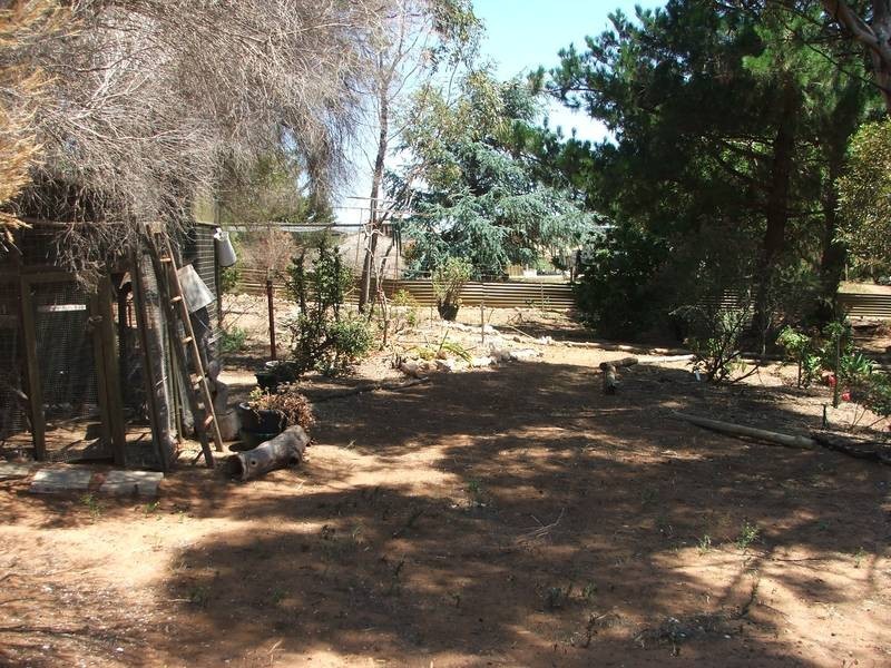 Lot 2 Murray Street, Caloote SA 5254