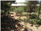 Lot 2 Murray Street, Caloote SA 5254