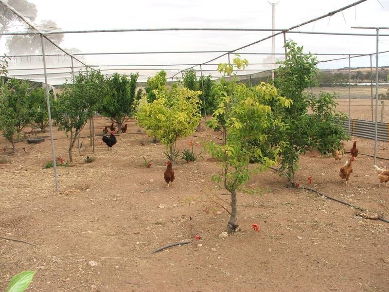 Lot 500,  Mannum – Walker Flat Road, Walker Flat SA 5238