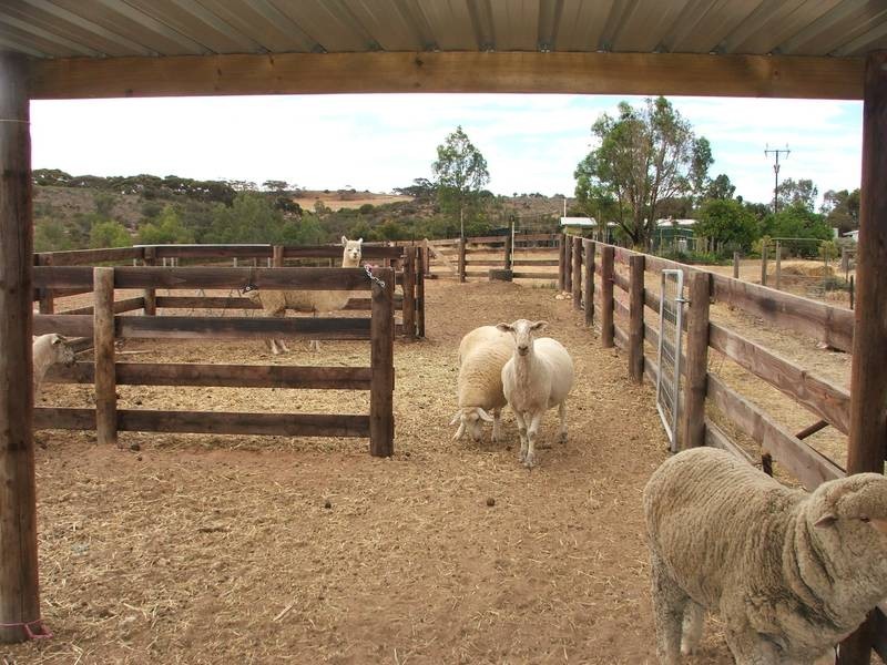 Lot 500,  Mannum – Walker Flat Road, Walker Flat SA 5238