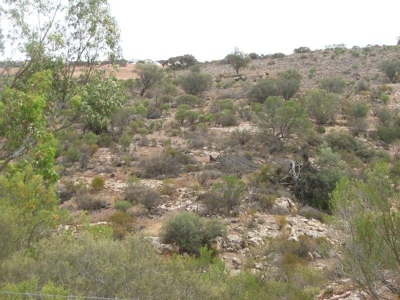 Lot 500,  Mannum – Walker Flat Road, Walker Flat SA 5238