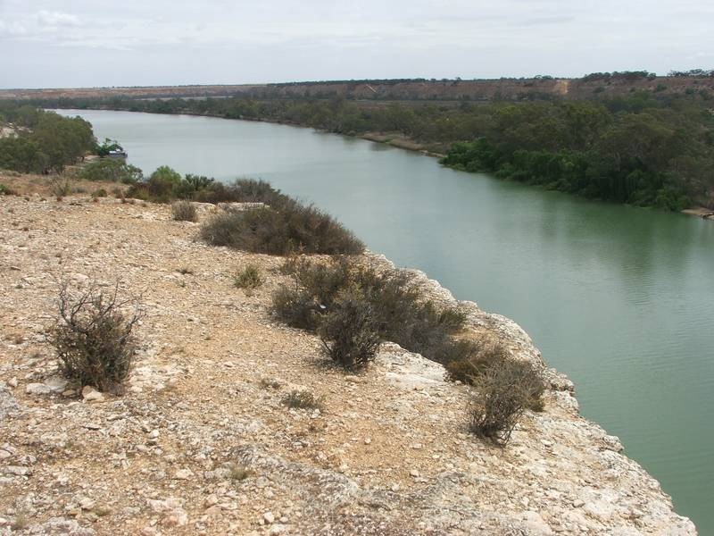 Lot 25,  Nildottie Rd, Greenways Landing, Nildottie SA 5238